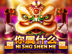 Ni Shu Shen Me